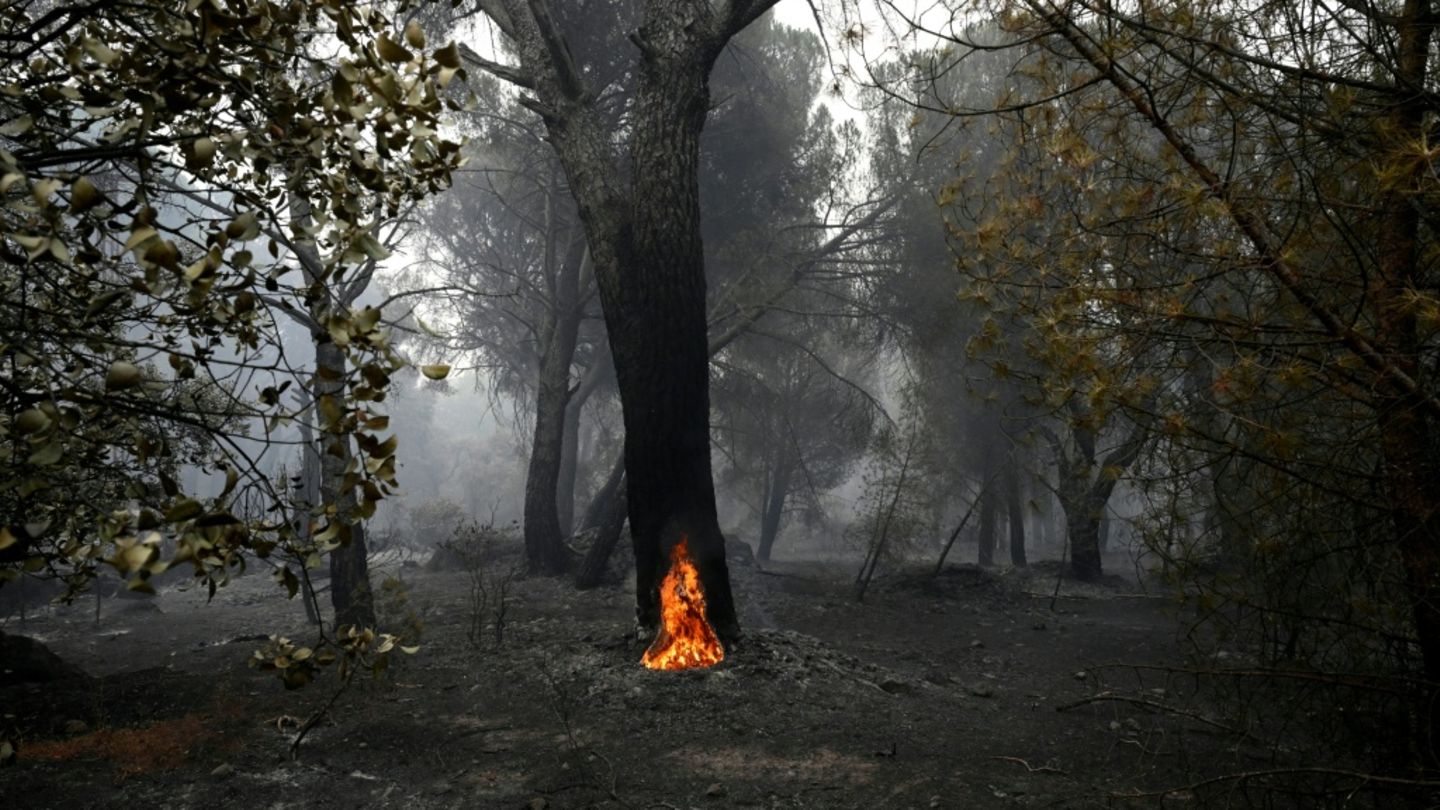 Waldbrände in Spanien: Regierung hebt Evakuierungsanordnungen für 13 Gemeinden auf