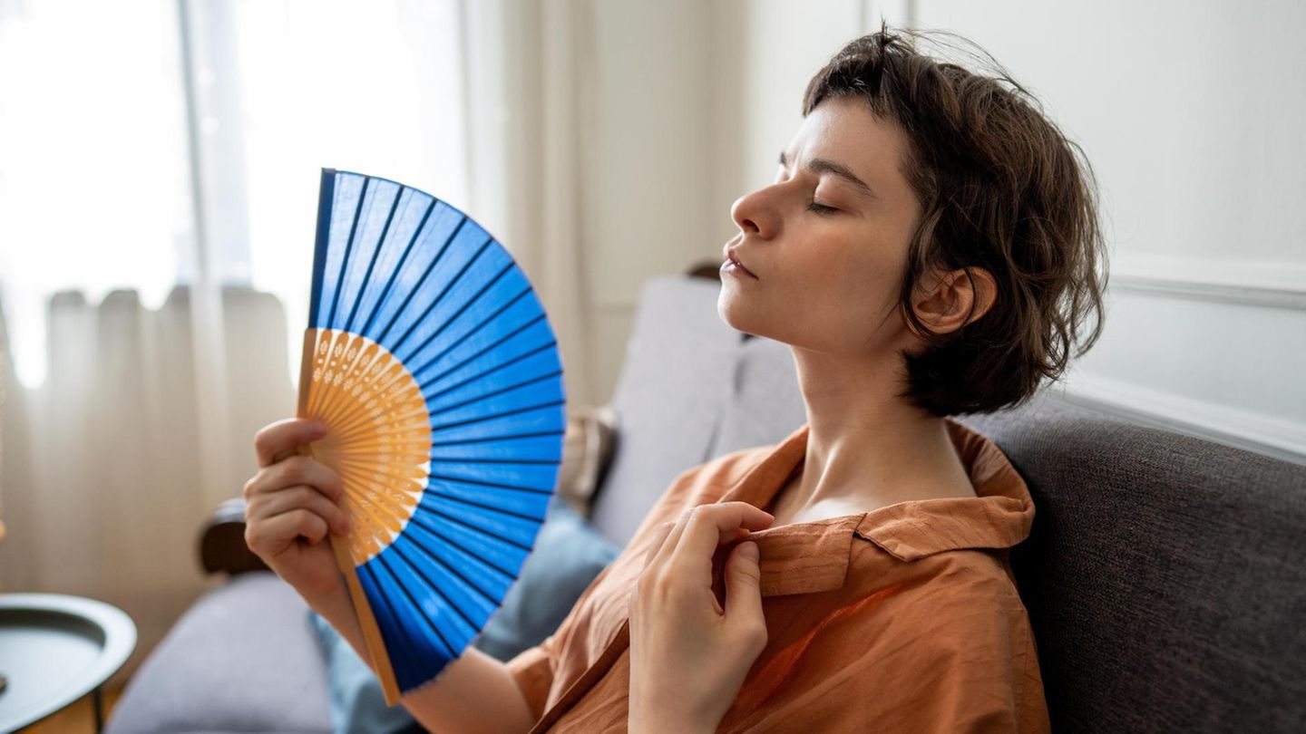 Hitze in der Wohnung: Ab welchen Temperaturen haben Mieter ein Recht auf Schadensersatz?