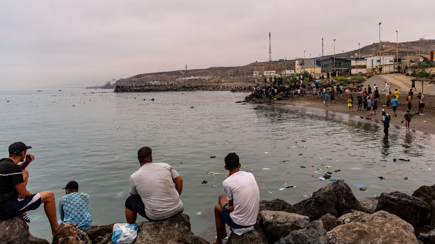 Bild