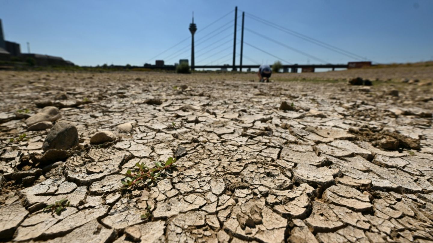 Niedrigwasser durch Trockenheit: Rheinpegel teilweise weiter auf Tiefststand