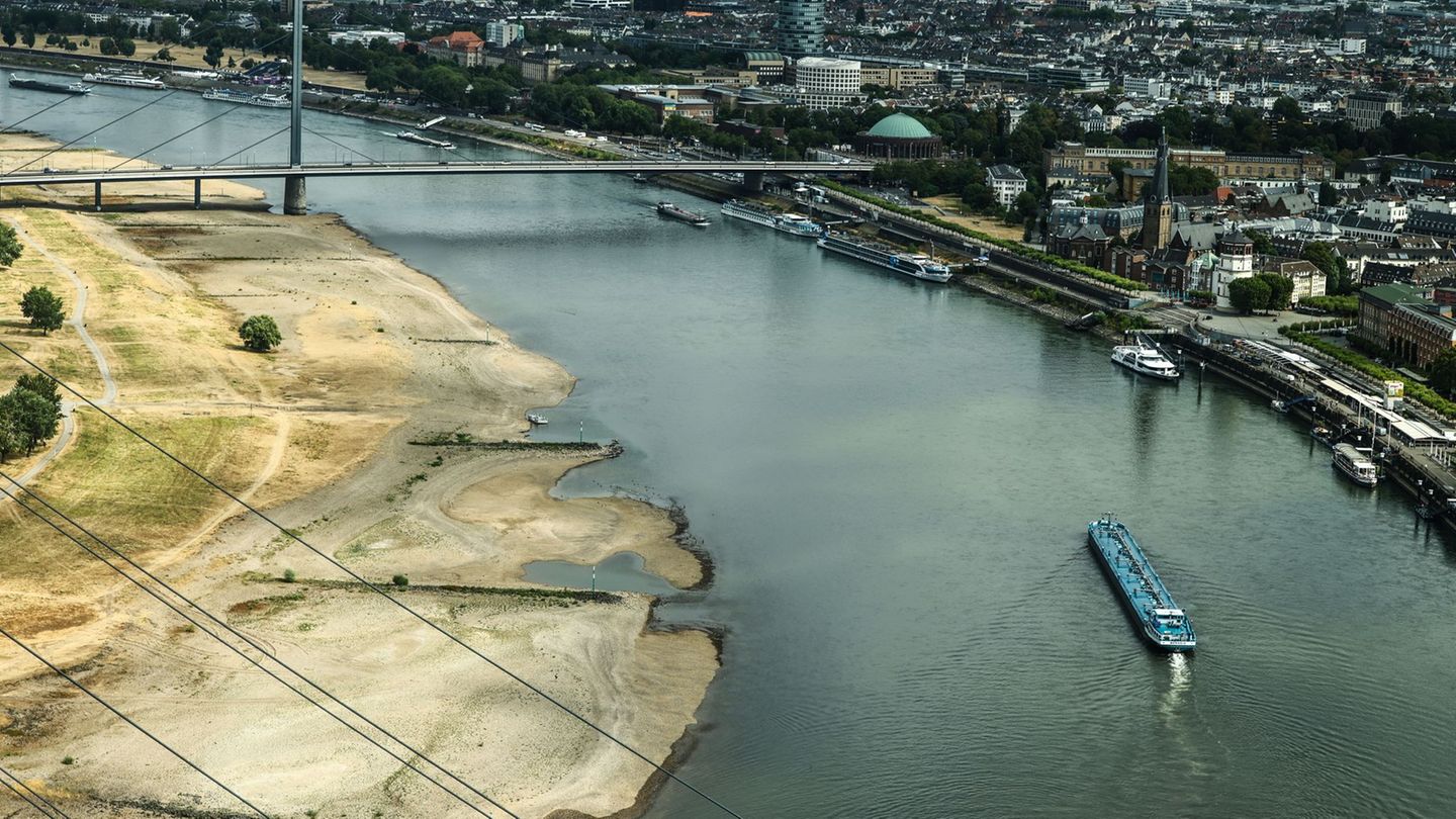 Environmentalists Urge National Plan to Tackle German Water Scarcity