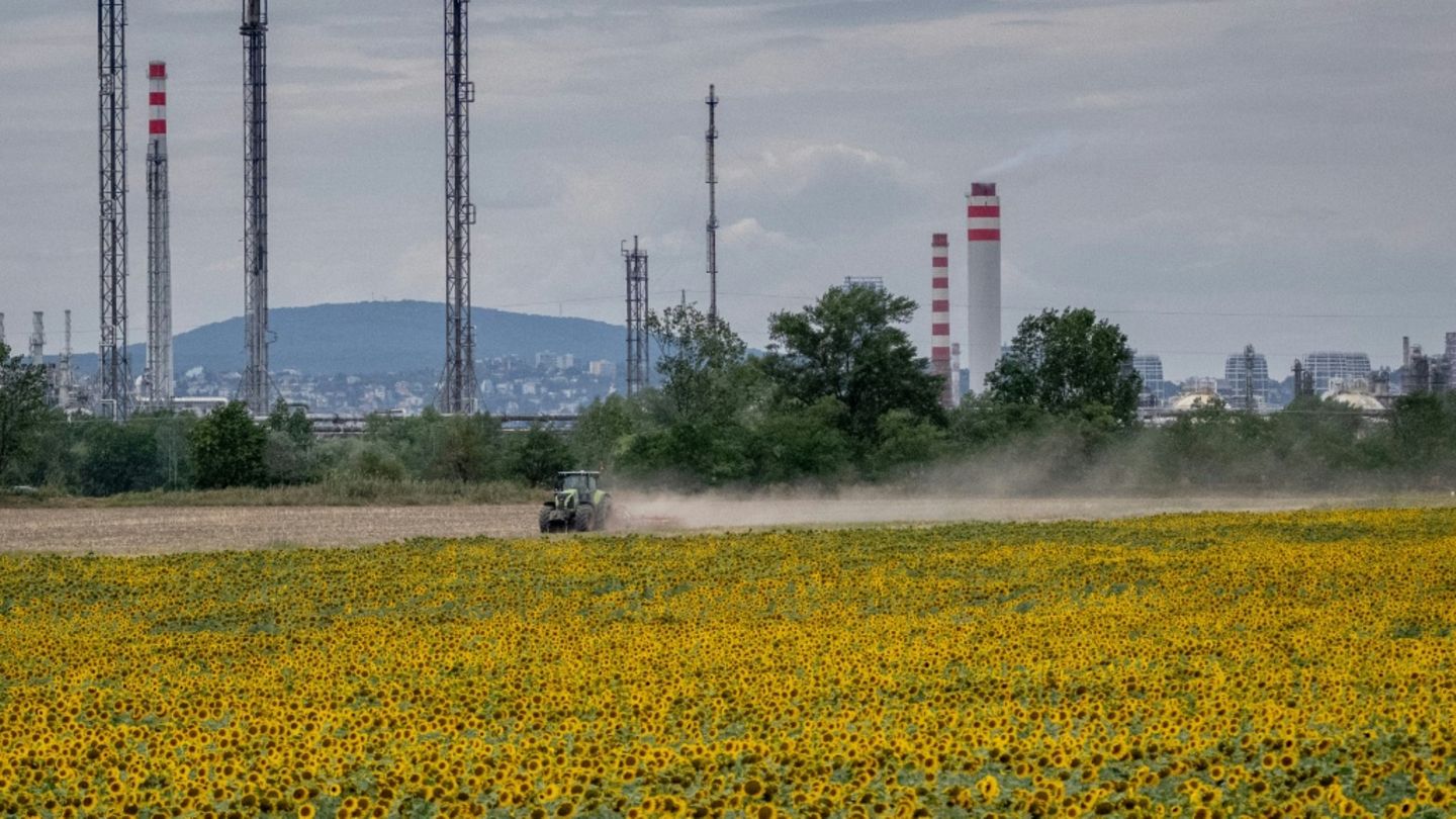 42,2 Grad: Allzeit-Hitzerekord in der Slowakei nach nur einem Tag gebrochen