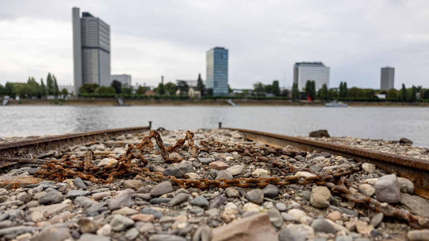 Niedrigwasser In Rhein Und Donau Diese Sch tze Kommen Zum Vorschein niedrigwasser-in-rhein-und-donau-diese-sch-tze-kommen-zum-vorschein