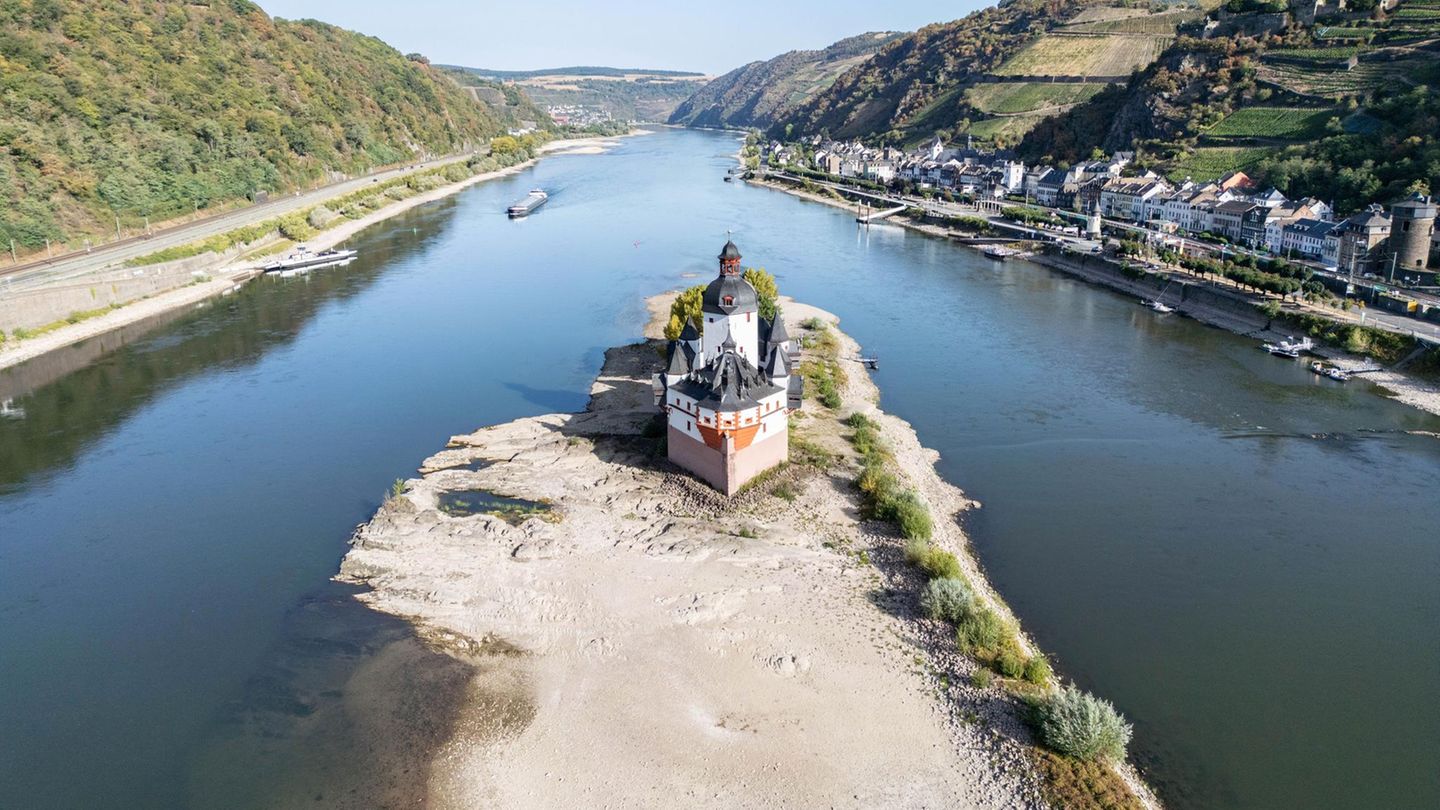 Niedrigwasser In Rhein Und Donau Diese Sch tze Kommen Zum Vorschein niedrigwasser-in-rhein-und-donau-diese-sch-tze-kommen-zum-vorschein