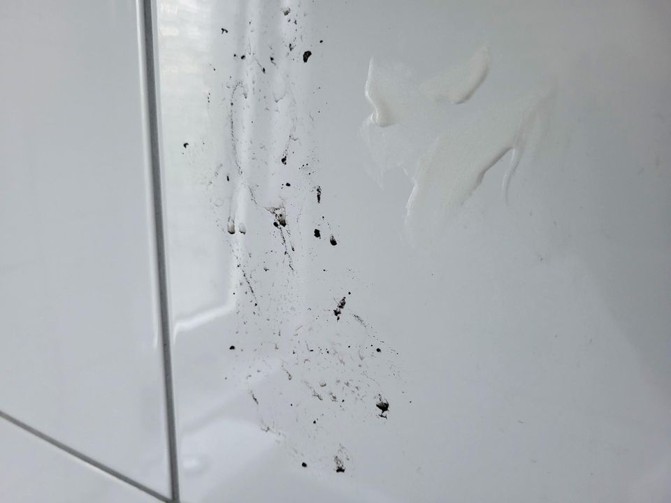 handdampfreiniger test