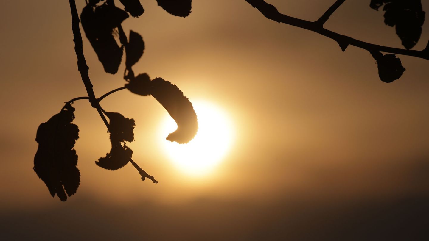 Weather: When the 30-degree mark will be broken again