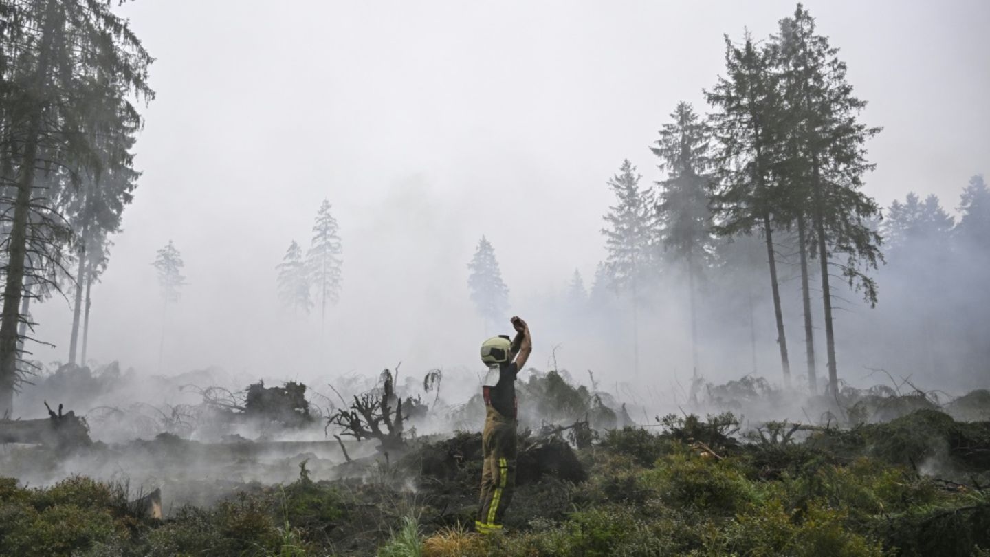 Waldbrand in Ostbelgien laut Behörden „eingekreist“ - Lage bleibt „kompliziert“