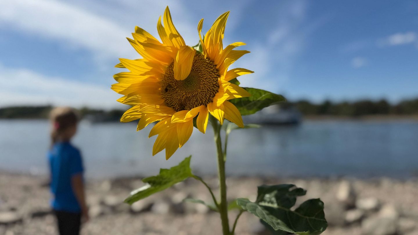 Bisschen Niederschlag: Etwas Regen und maximal 24 Grad in Hessen