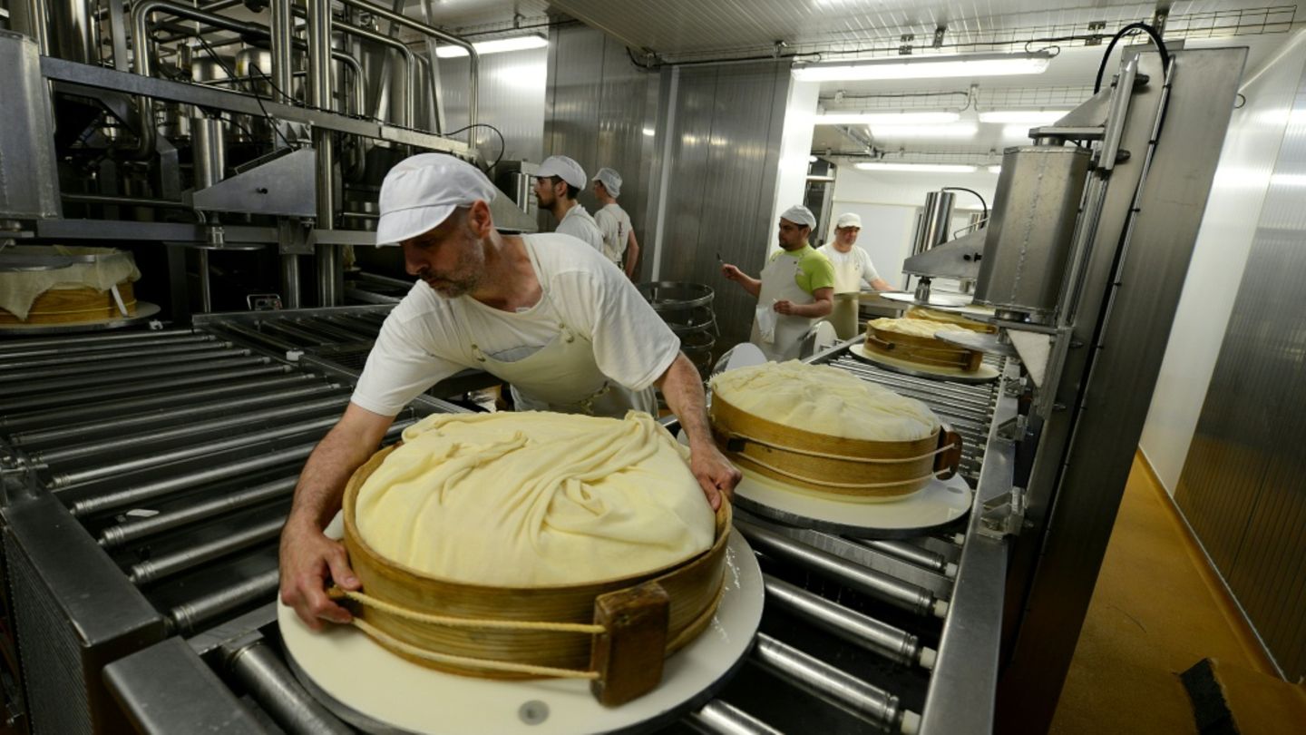 Ausnahmeregeln für Käseproduzenten in Frankreich wegen Dürre