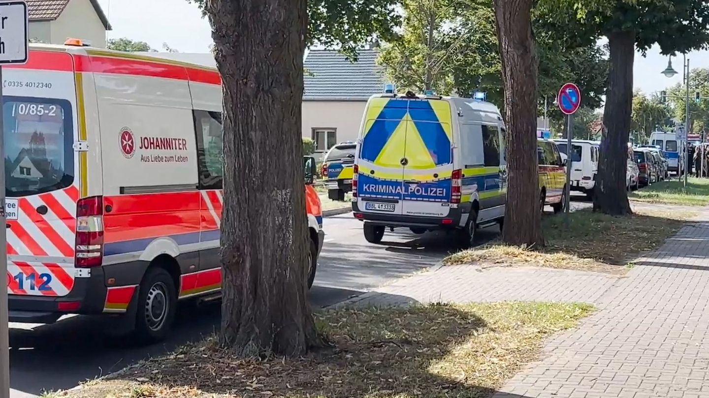 Brandenburg: Two dead in violent attack at school