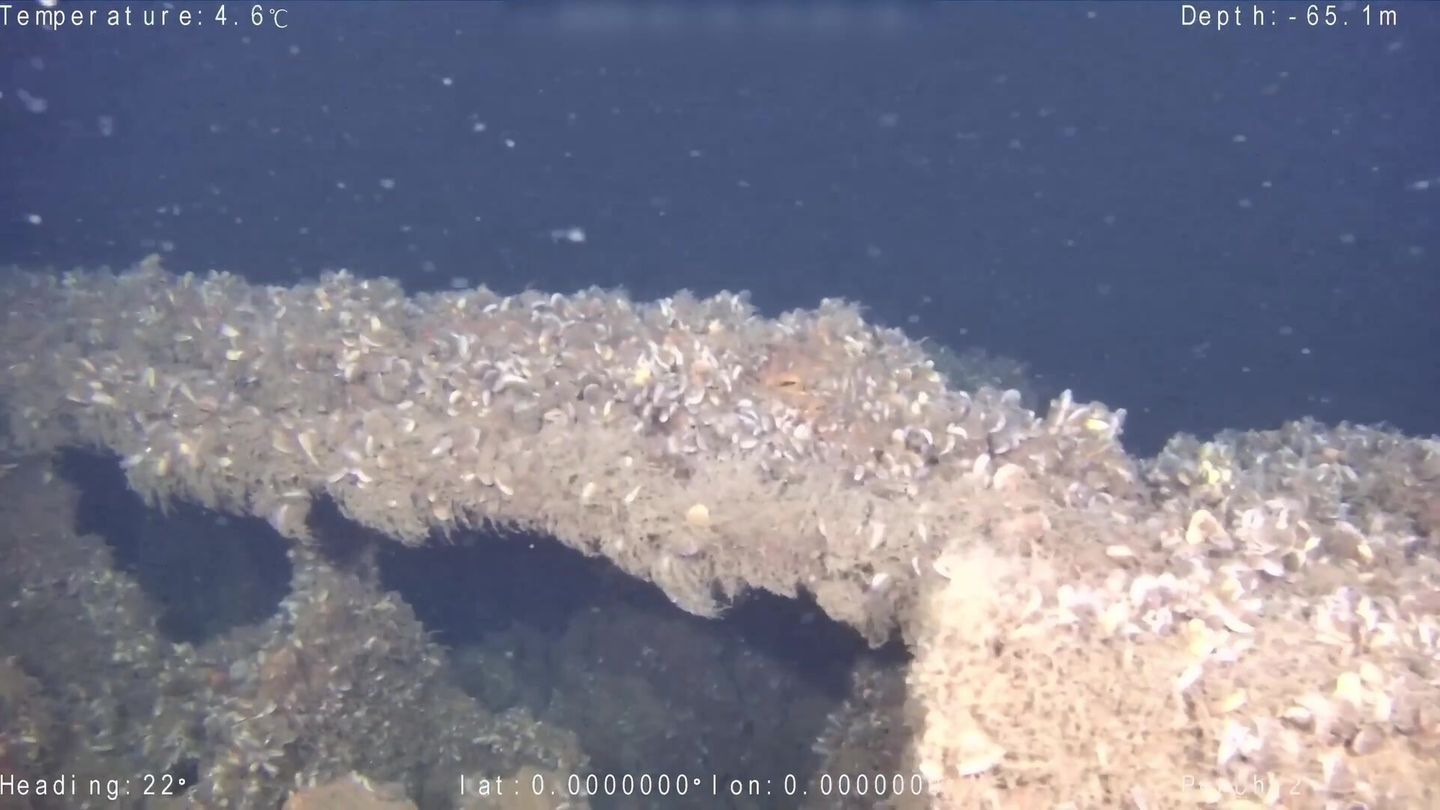 Weltkriegsfund: Forscher entdecken drei Kriegs-U-Boote in Ostsee und Mittelmeer