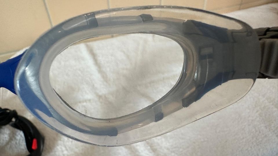 2. Der Allrounder: Zoggs Predator Flex