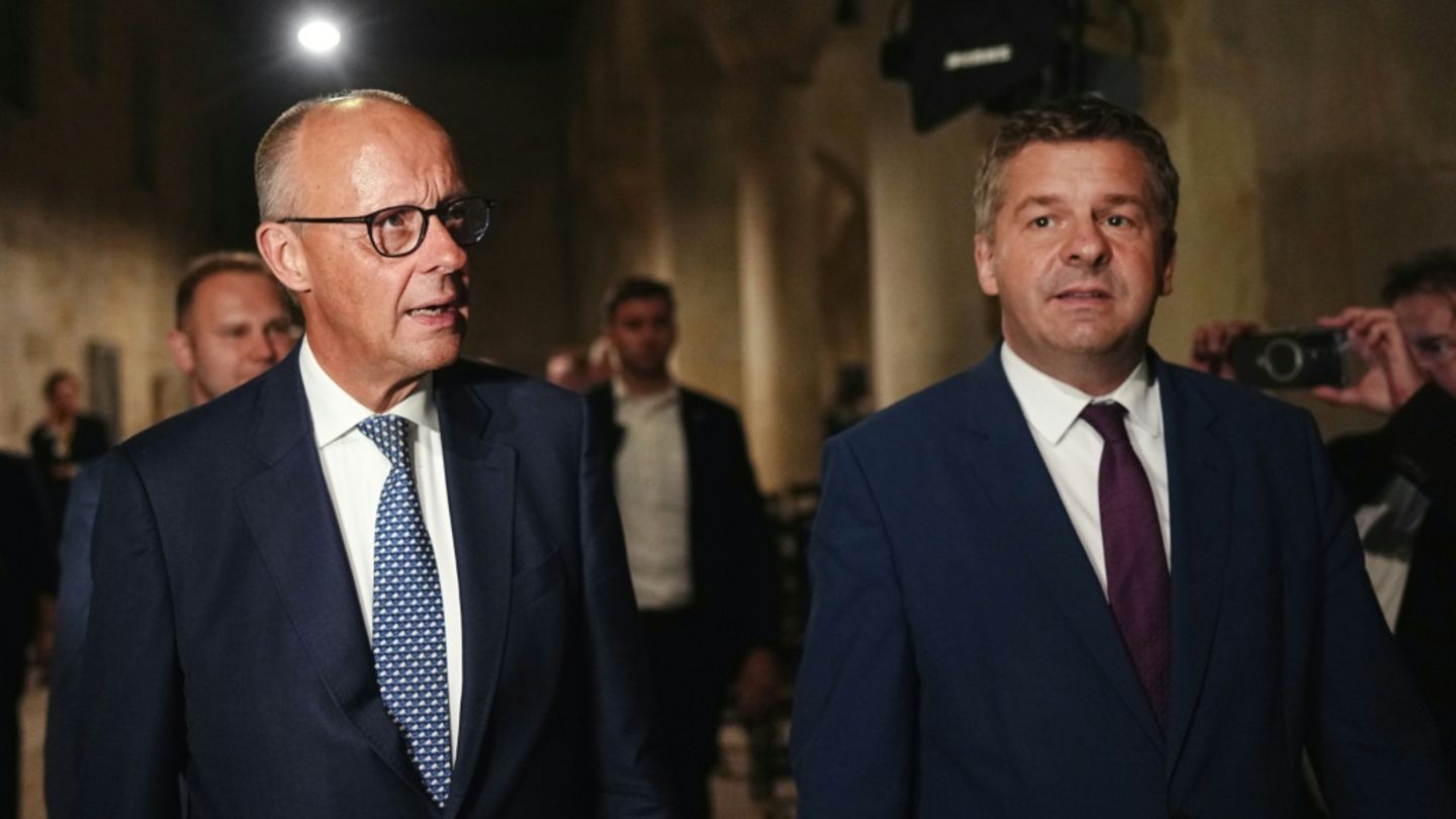 Merz warnt vor AfD-Sieg in Sachsen-Anhalt: „kein Experimentierfeld für Wutbürger“