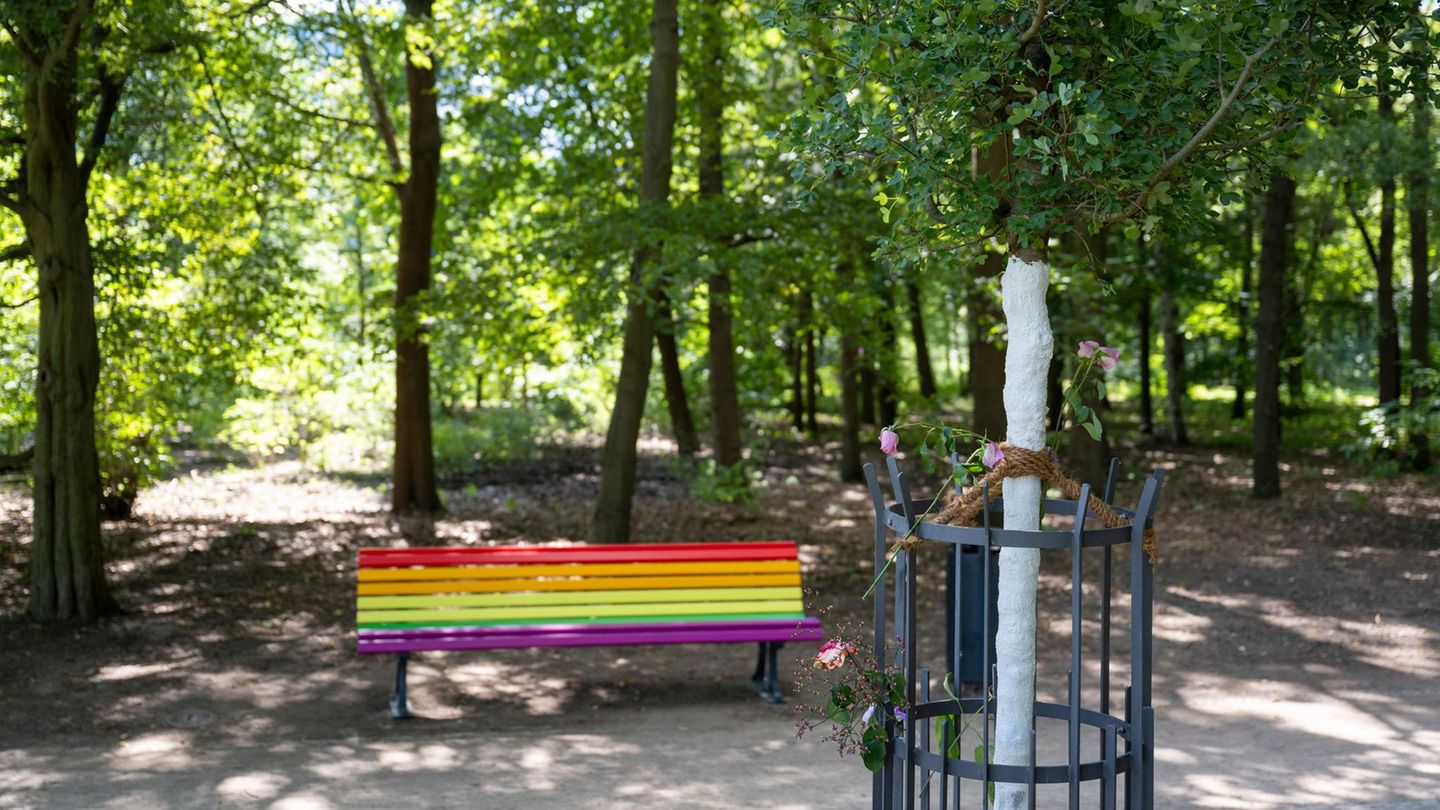 Rainbow bench commemorating CSD attack destroyed