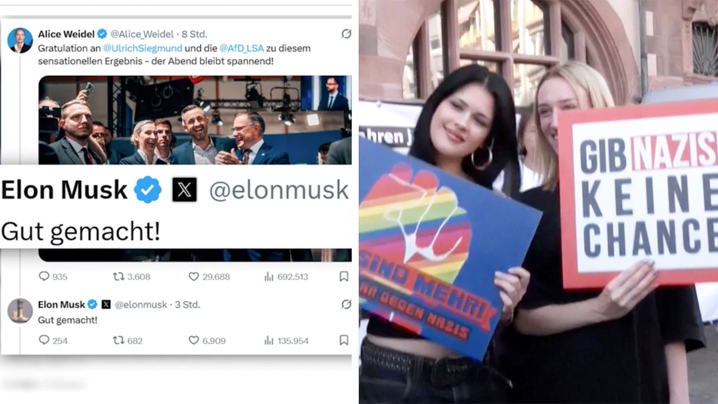 Elon Musk congratulates Alice Weidel - | Thousands demonstrate against AfD