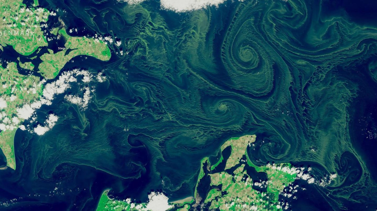 Hitzewellen 2026: Ost- und Nordsee waren im Sommer deutlich zu warm
