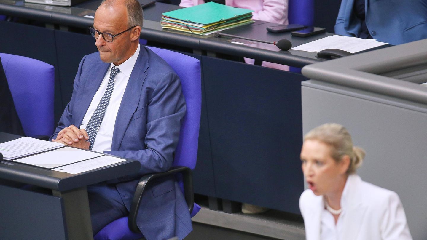 Highlights in the video: Weidel and Merz engage in a heated exchange