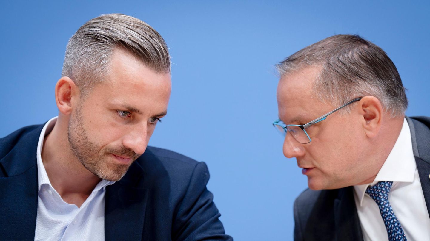 AfD distances itself from