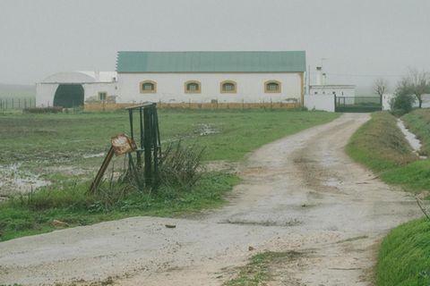 Ein Feldweg führt zum Hof Los Galindos
