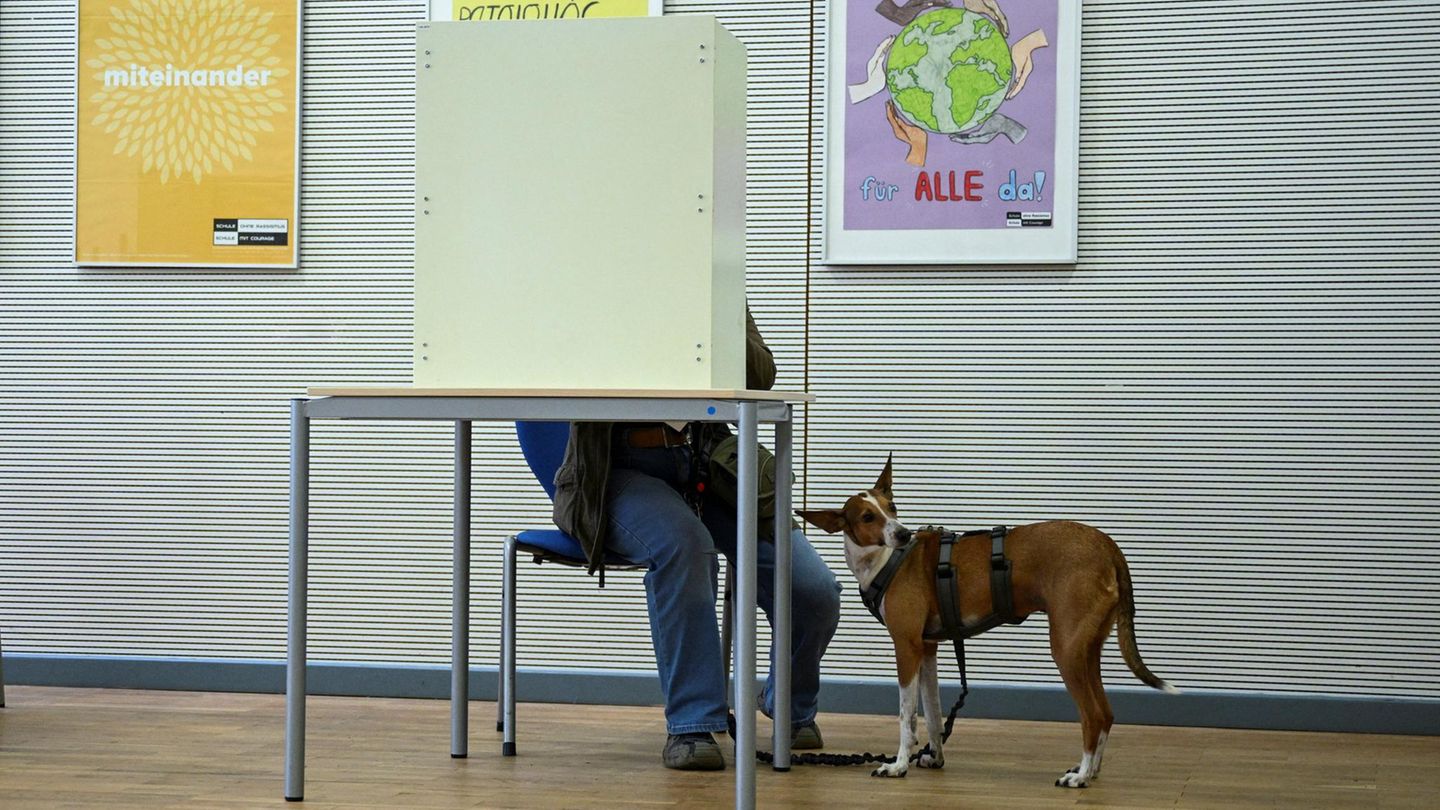 Landtagswahl in MV: Wahllokale sind geöffnet – CDU will historische Pleite abwenden