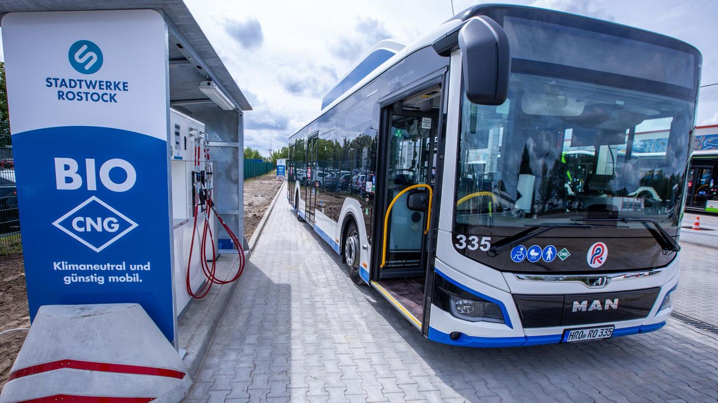 Landtagswahl in MV: Wahlpanne in Rostock – Bürger stimmen im Bus ab