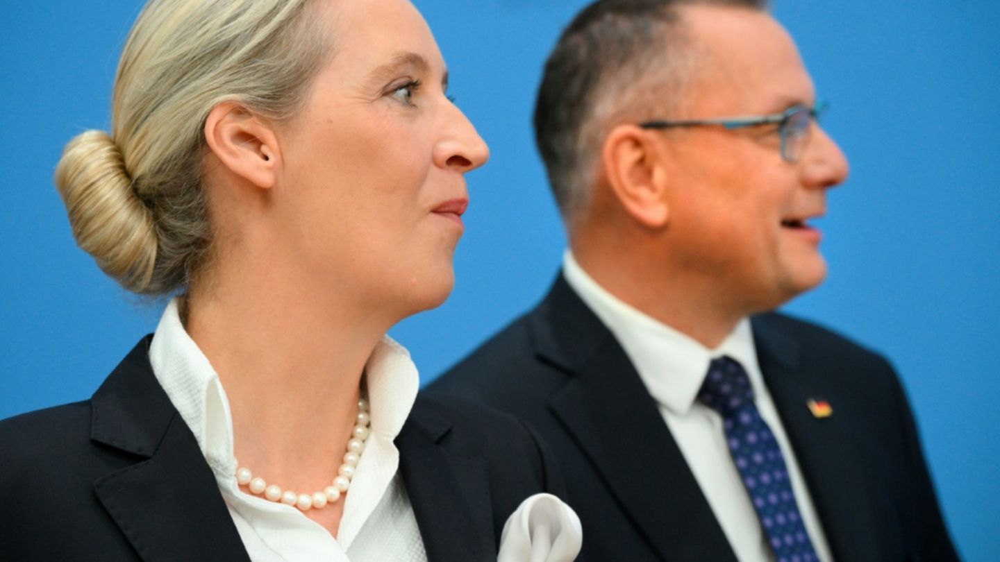 AfD sieht sich nach Wahlen als neue Volkspartei - anstelle der CDU