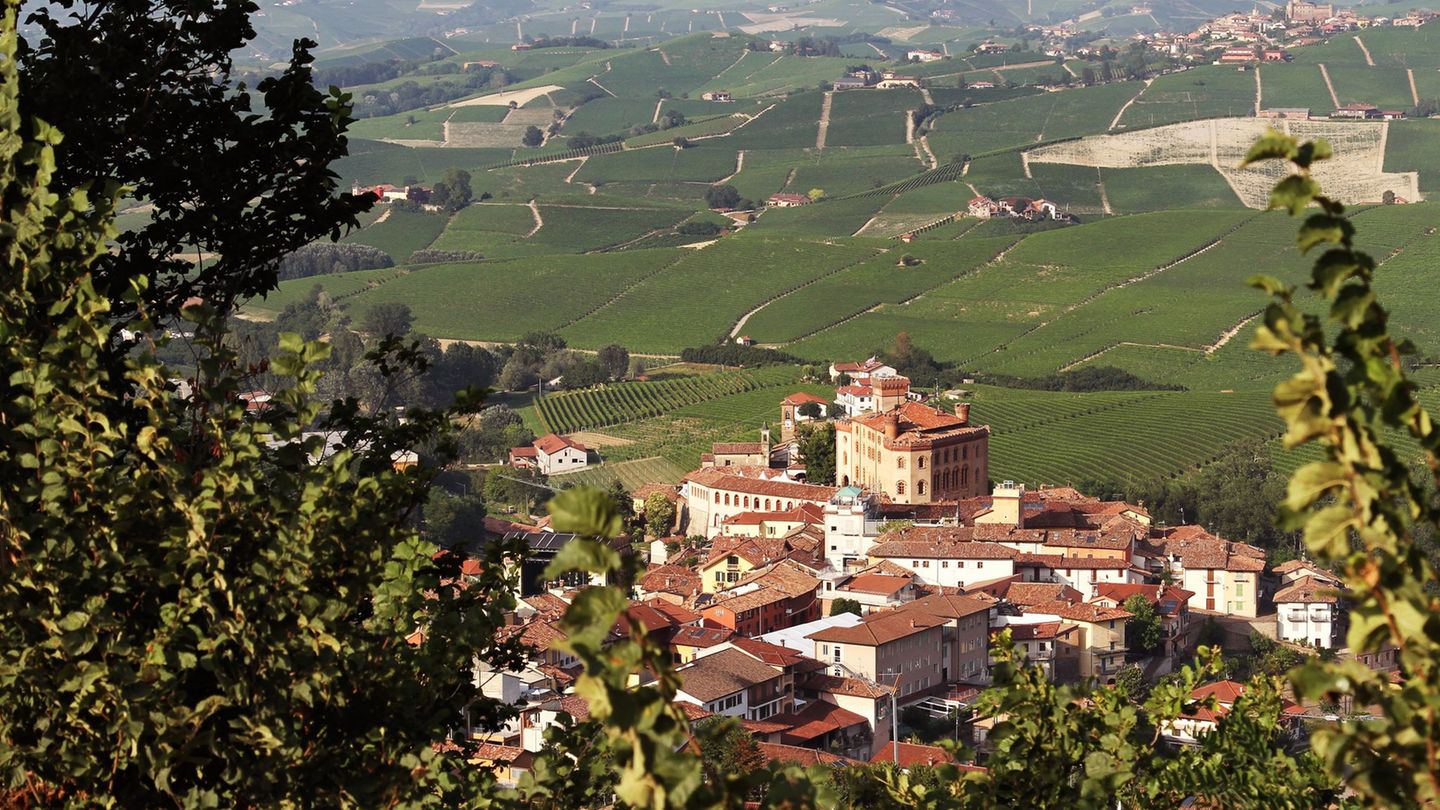 Kriminalität: Einbruch in italienisches Weingut: 3.000 Flaschen Barolo weg