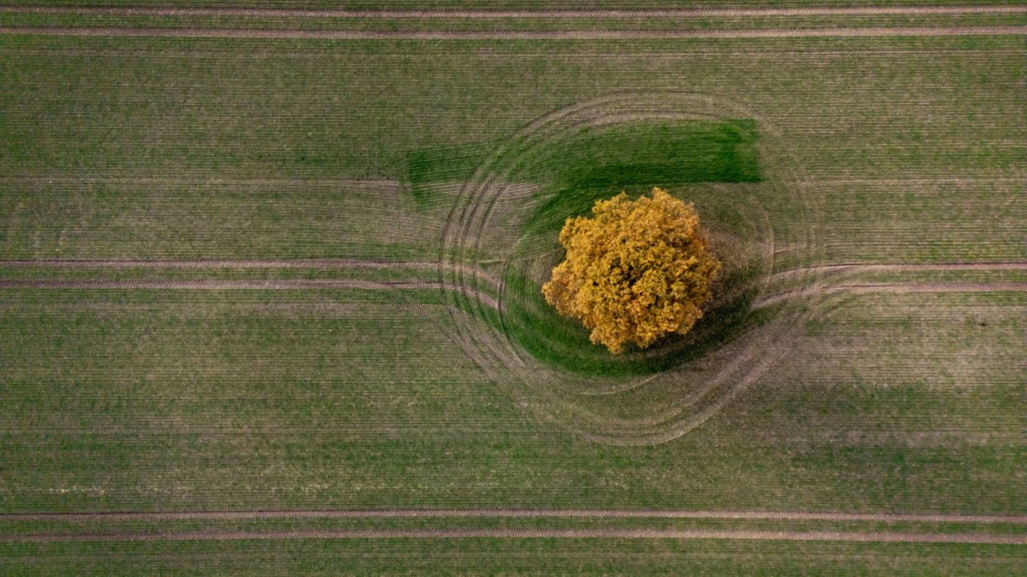 Großer römischer Münzschatz auf Acker in Nordrhein-Westfalen entdeckt