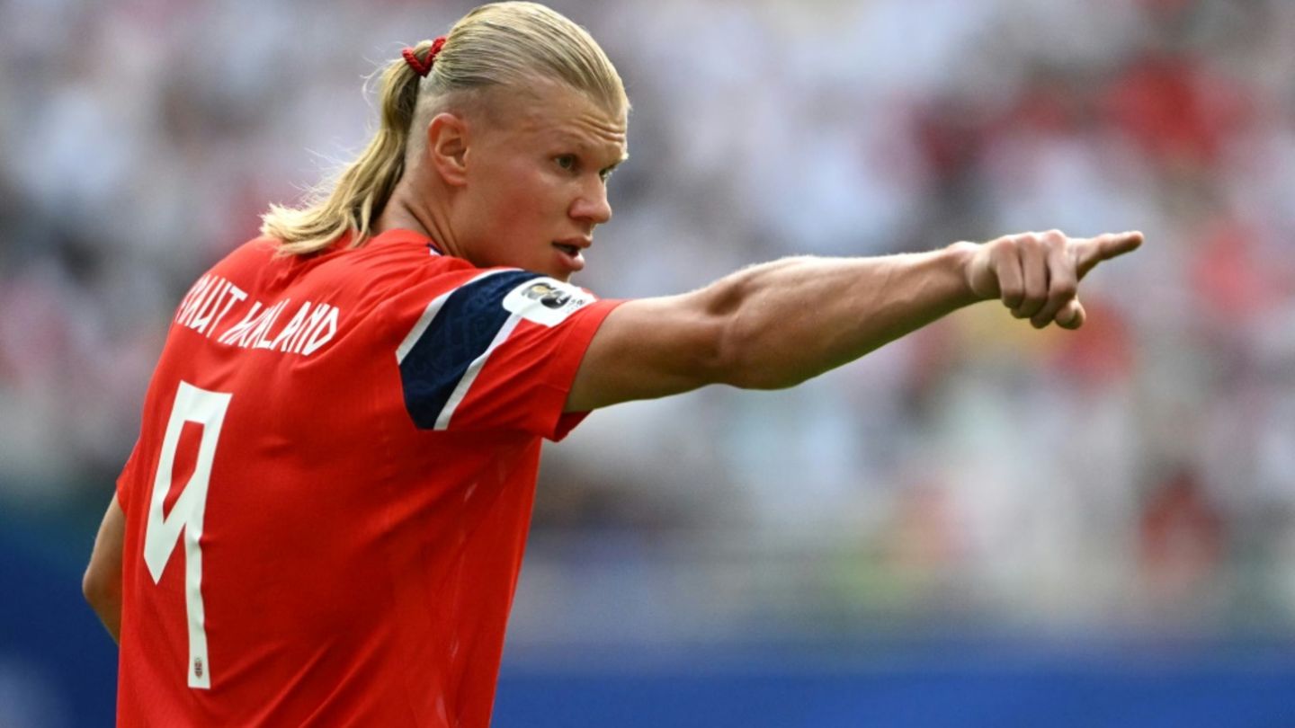 Ärger um Pferdeschwanz: Fußball-Star Erling Haaland geht juristisch gegen Airline vor