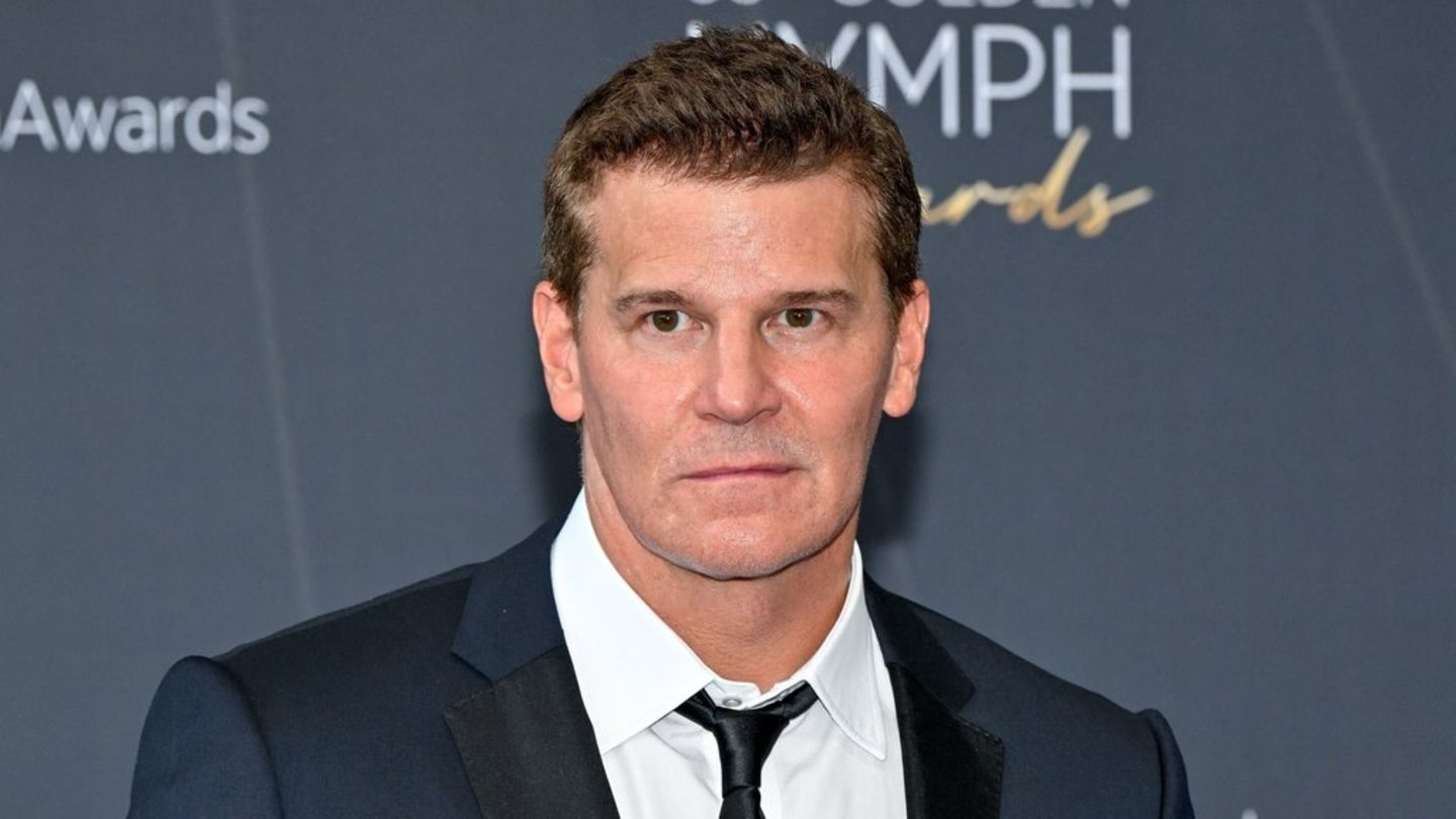 David Boreanaz: