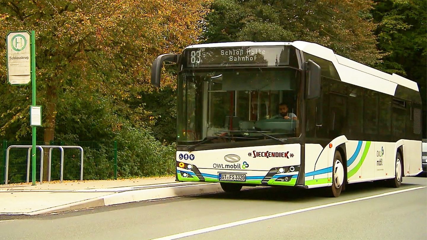 „Schildbürgerstreich“: Neue Haltestelle kostet 60.000 Euro – bald hält kein Bus mehr