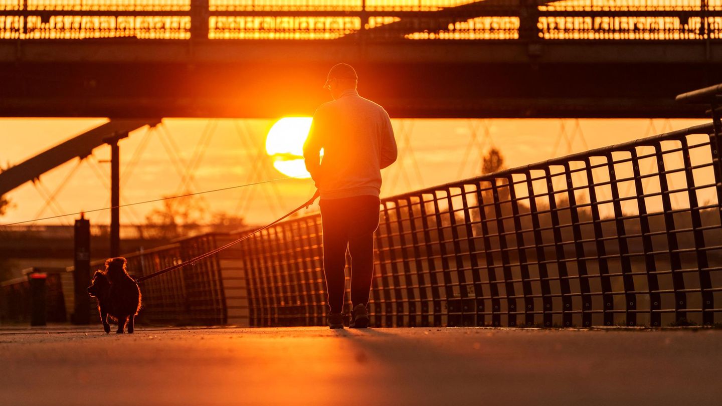Deutschland-Wetter: Mahr als 20 Grad: Live-Karten zeigen, wo es nochmal spätsommerlich warm wird