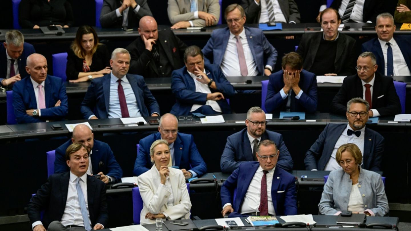 Rhein fordert Ausschussposten im Bundestag für AfD - Unionsfraktion widerspricht