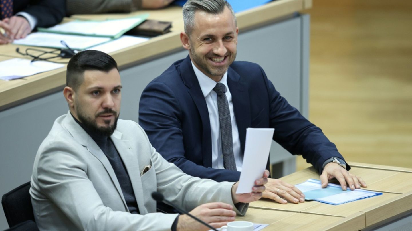 Sachsen-Anhalt: AfD-Politiker Rausch schließt Neuwahl nicht aus