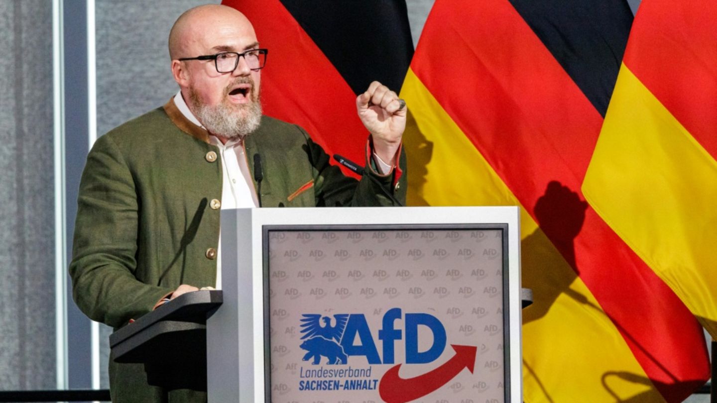Sachsen-Anhalt: AfD stellt mit Abgeordnetem Tillschneider auch Landtagsvizepräsidenten