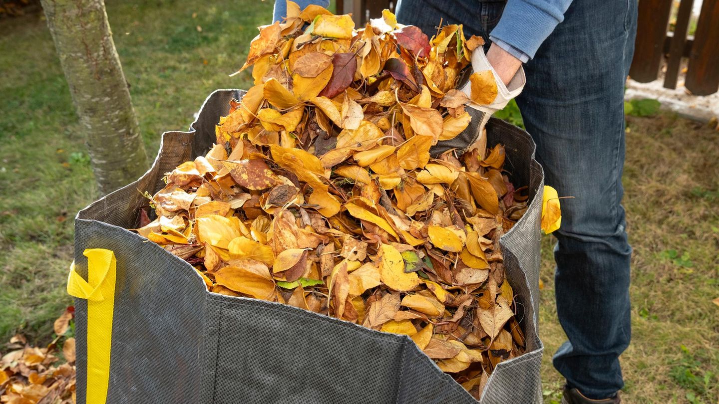 Gartenarbeit: Warum Sie im Herbst Ihren Garten einfach in Ruhe lassen sollten