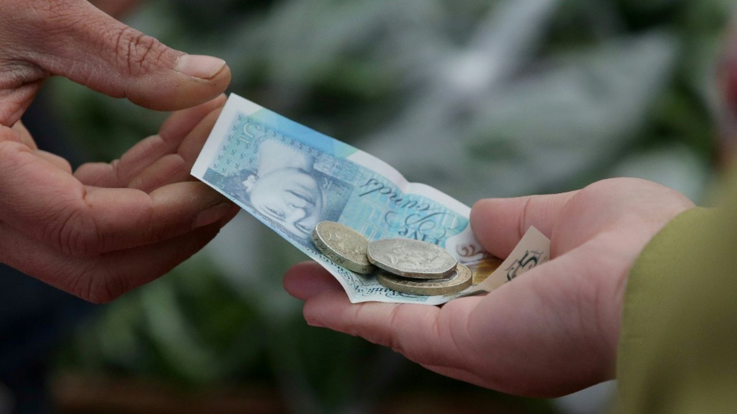 Igel oder Eule statt Churchill: Neue Pfund-Scheine zeigen künftig Tiermotive