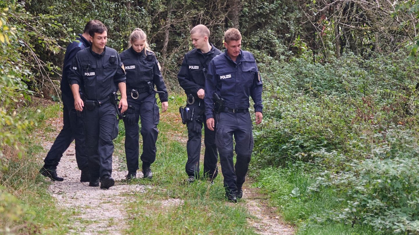 Alarm zu möglichem Puma: Bisher keine Hinweise - Raubkatzen-Suche soll weitergehen
