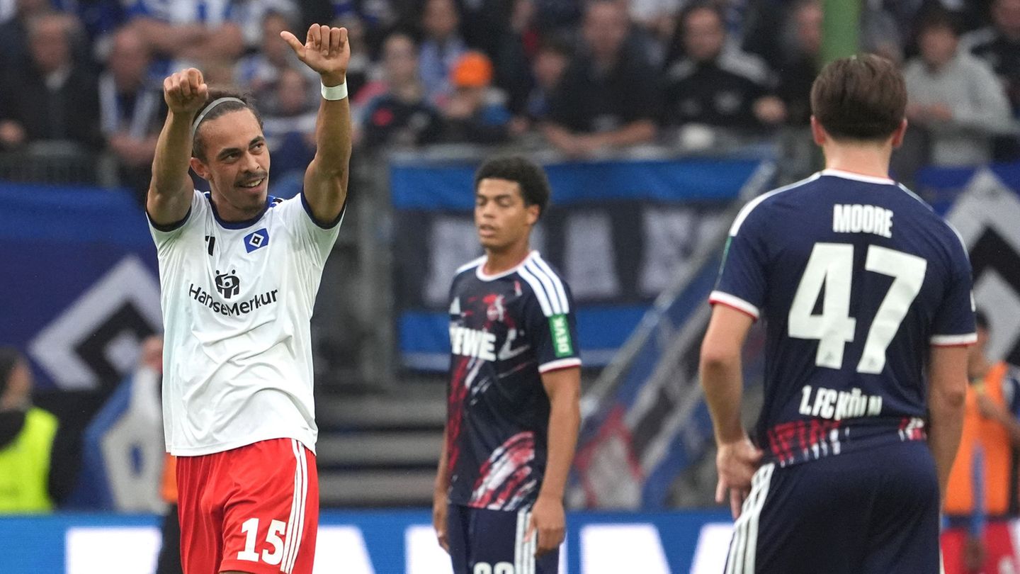 Fußball-Bundesliga: Sturmsorgen beim HSV: Moffi und Poulsen Optionen für Kader