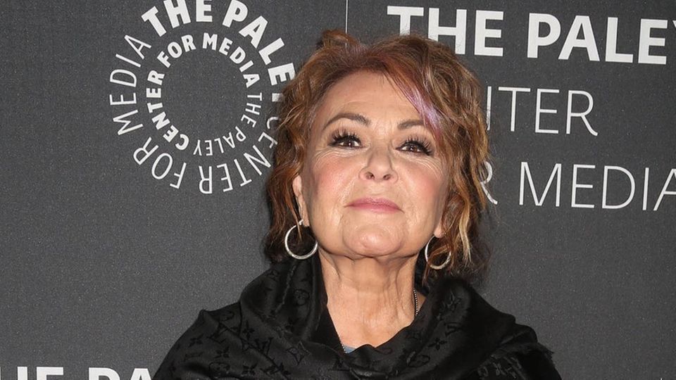 Sitocm Acht Jahre nach ABC-Rauswurf: Roseanne Barr meldet sich mit Sitcom ...