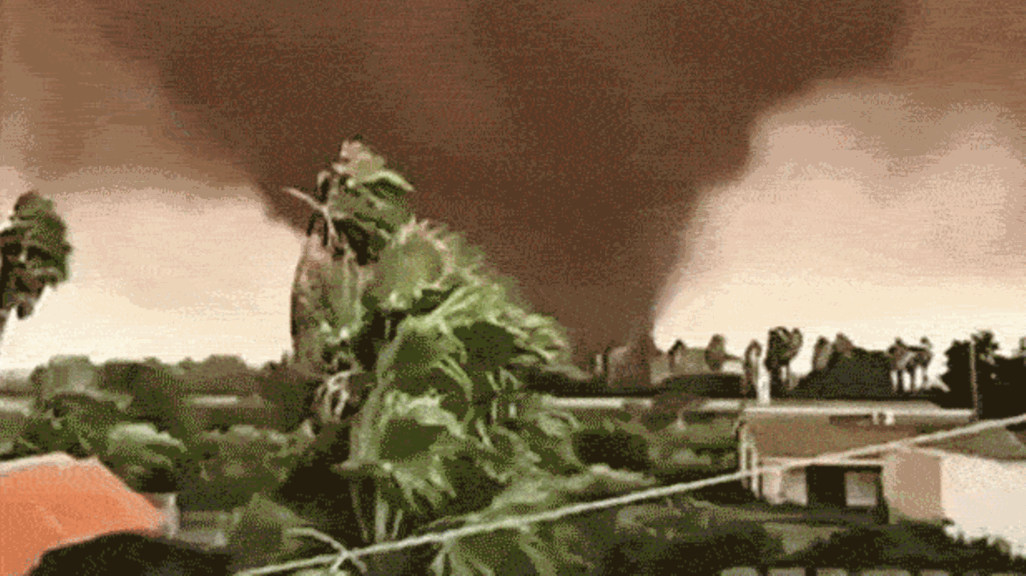 Videos zeigen Wucht: Heftiger Tornado wütet auf Sizilien – Autos fliegen meterweit