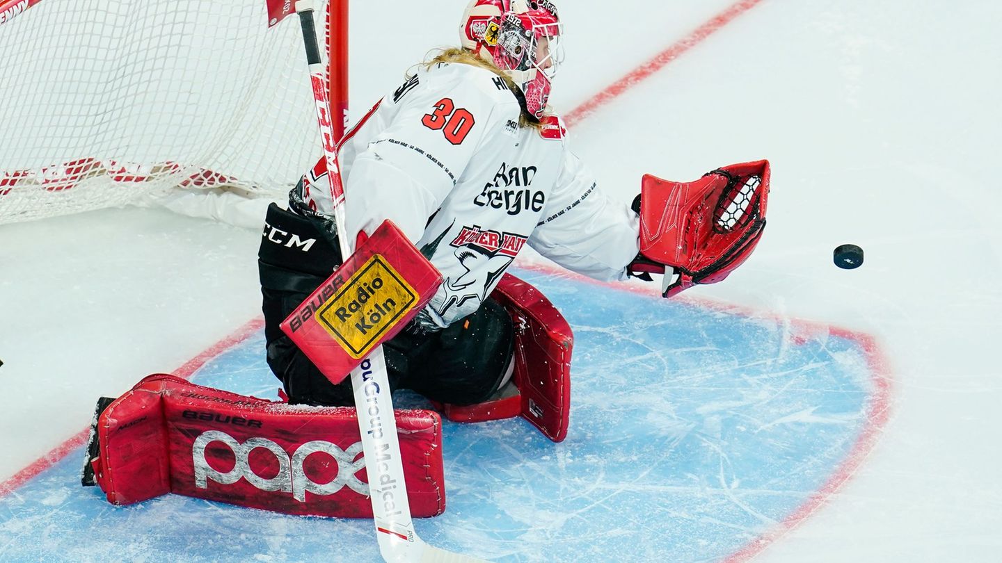 Eishockey: Straubing Tigers holen Torwart nach Verletzungsausfall