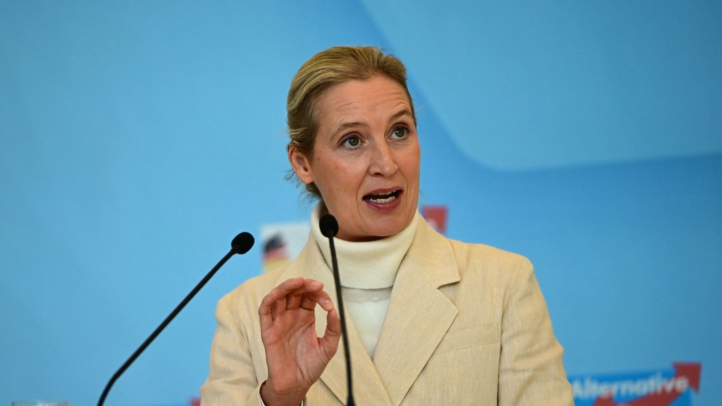 Sachsen-Anhalt: AfD nennt CDU-Plan für MP-Wahl „Kindergarten“