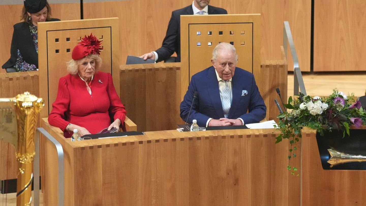 King Charles III: Monarch opens Parliament amid protests