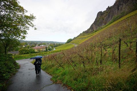 Wetter Regen Herbst