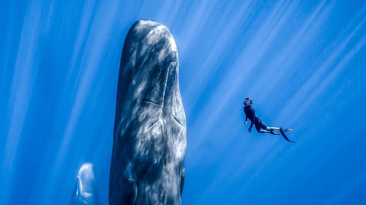 Spektakuläre Naturfotografie: Unter schlafenden Riesen: Romain Barats über das Foto seines Lebens