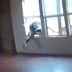 Einbrecher springt auf Flucht vor Polizei durch Fenster