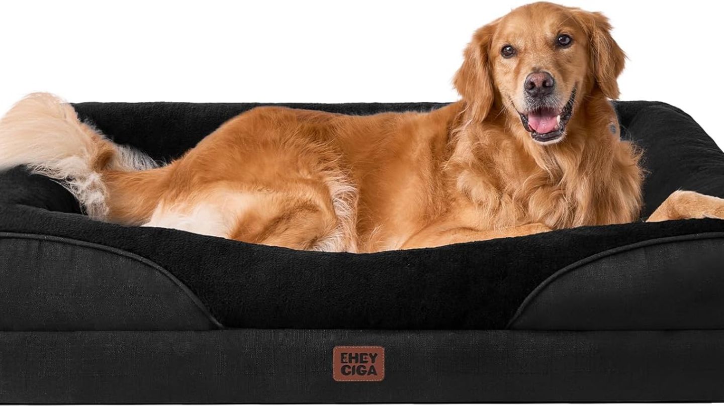 Für Vierbeiner: 49 Prozent Rabatt: Orthopädisches Hundebett mit Memory Foam im Angebot