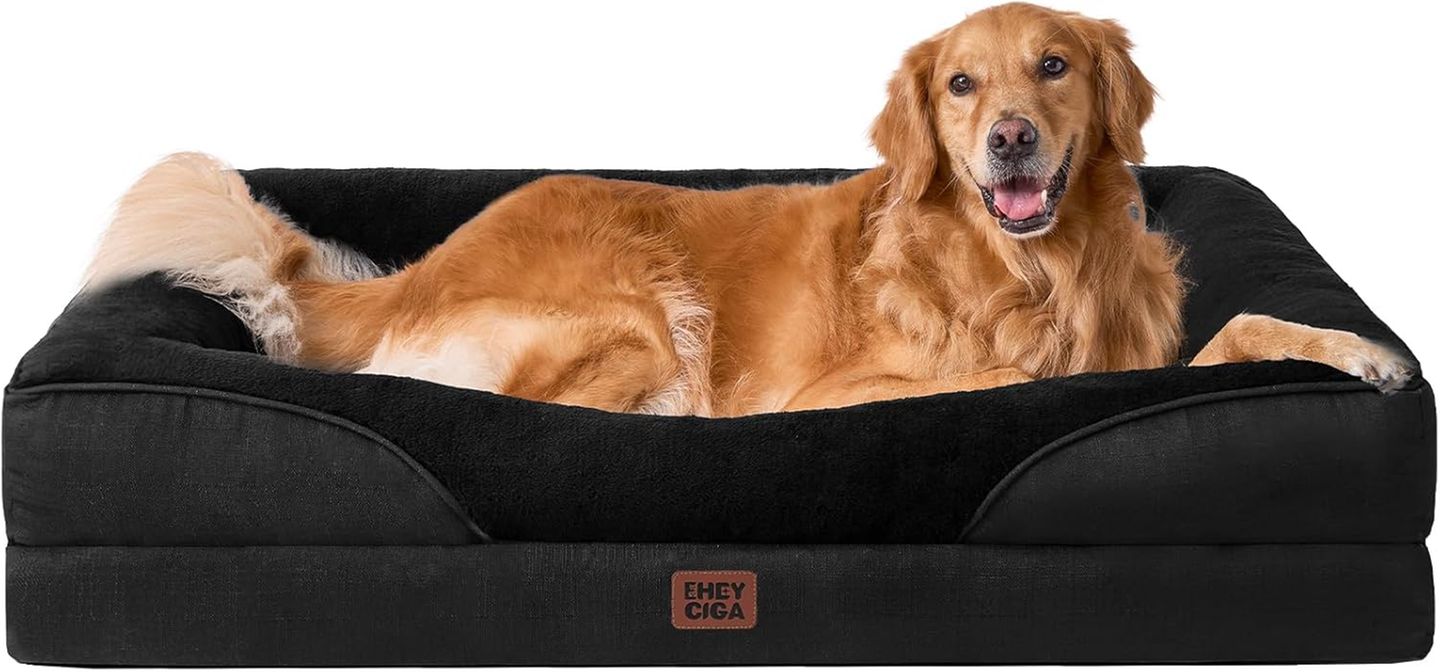 Golden Retriever liegt in einem orthopädischen Hundebett.