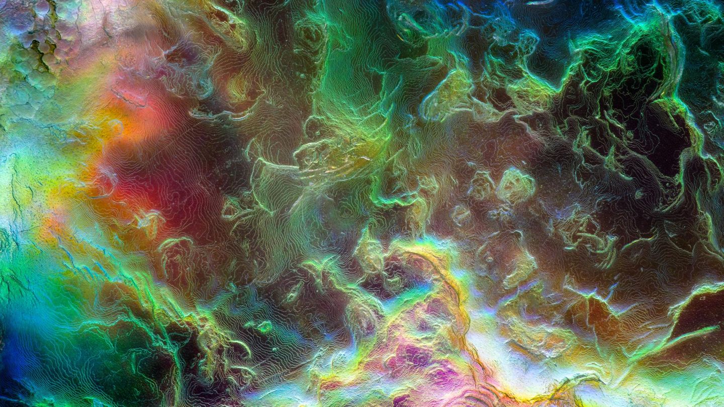 Mikrofotografie: Die spektakuläre Welt des Unsichtbaren
